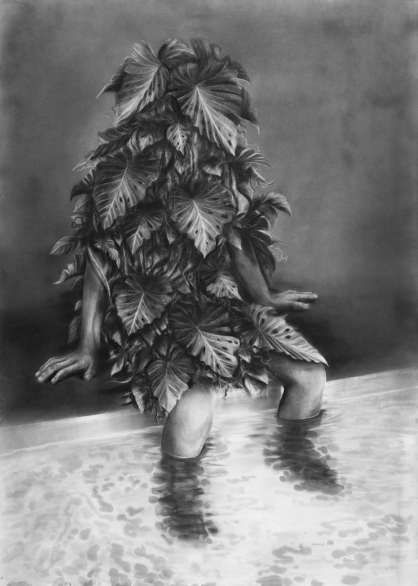 Tropical Martyr Tropical Martyr