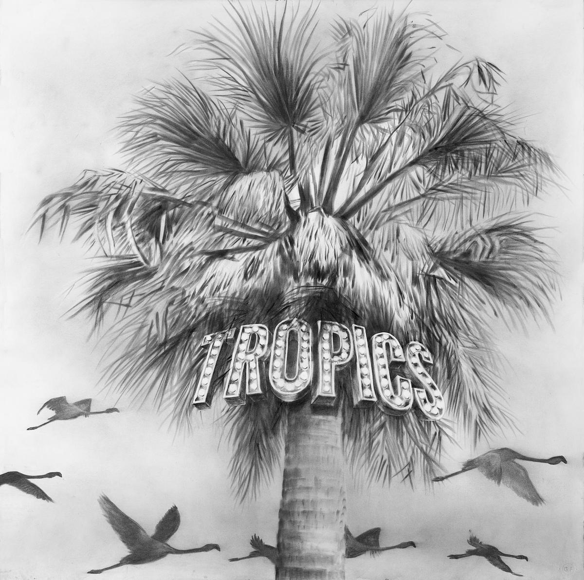 Tropics Tropics