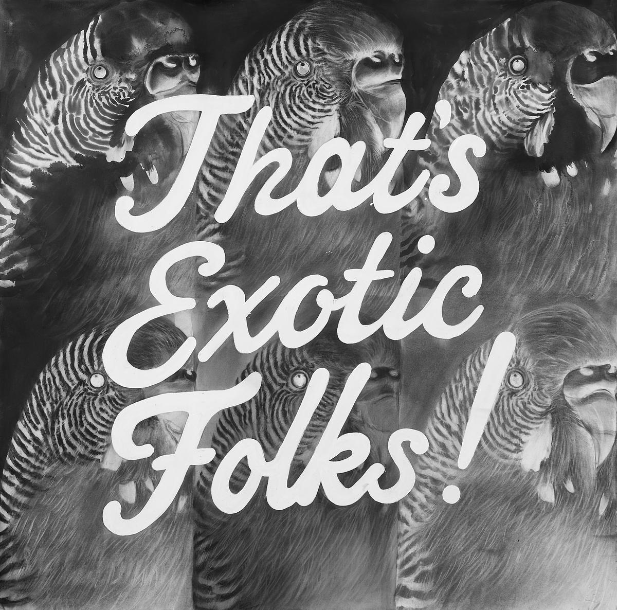 That's Exotic Folks That's Exotic Folks