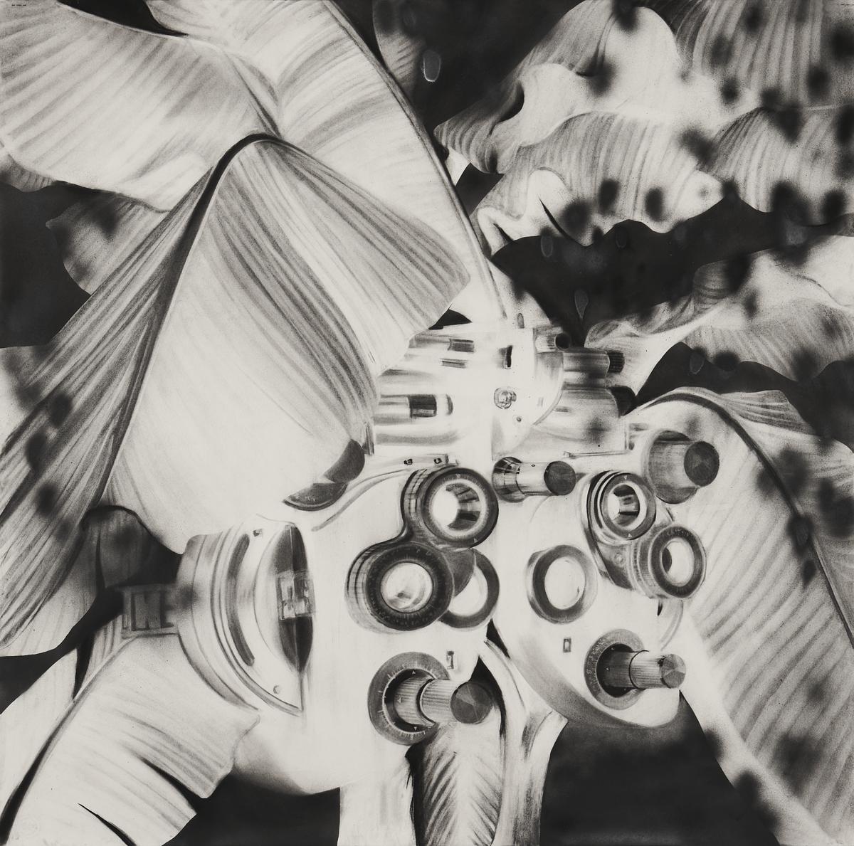 The Spctacle of Delirium
